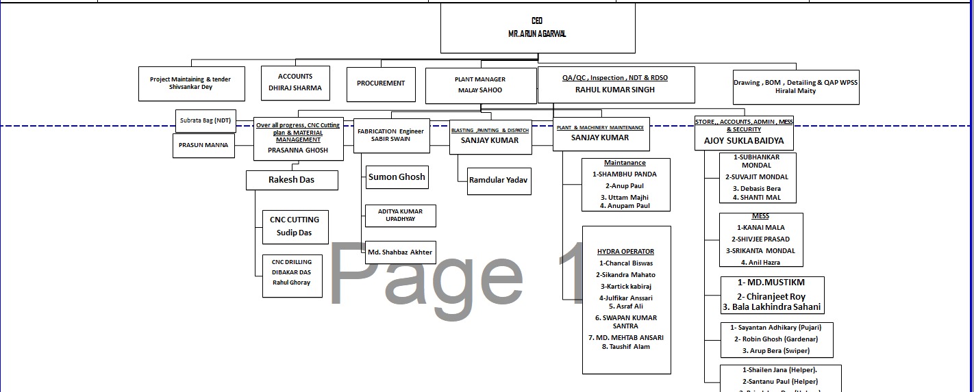 Bhartia Infra Projects Limited Organisation Chart 2026