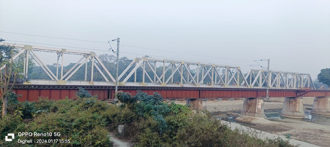 Fabricated bridge girder