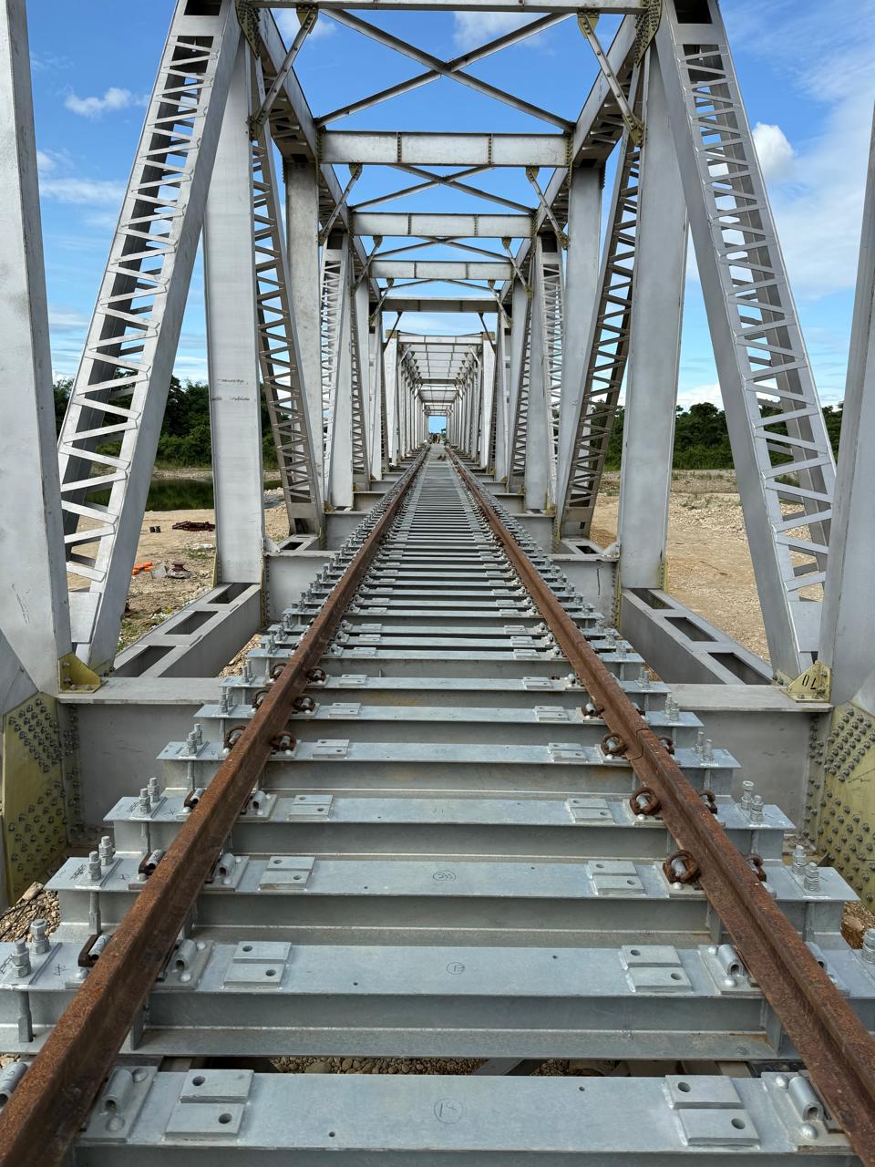 Fabricated bridge girder