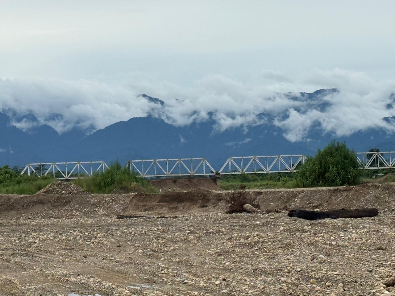 Fabricated bridge girder